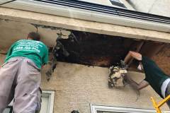 Stucco-Remediation-1-1